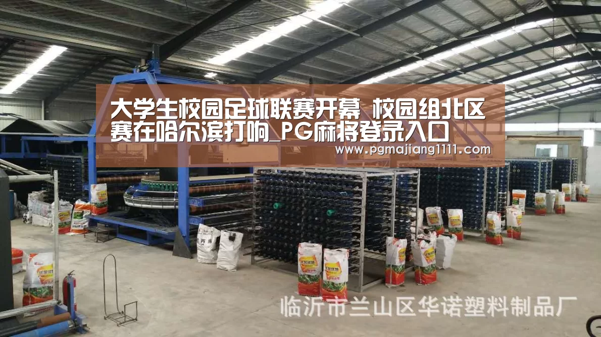 大学生校园足球联赛开幕 校园组北区赛在哈尔滨打响_PG麻将登录入口(图2) PG麻将登录入口
